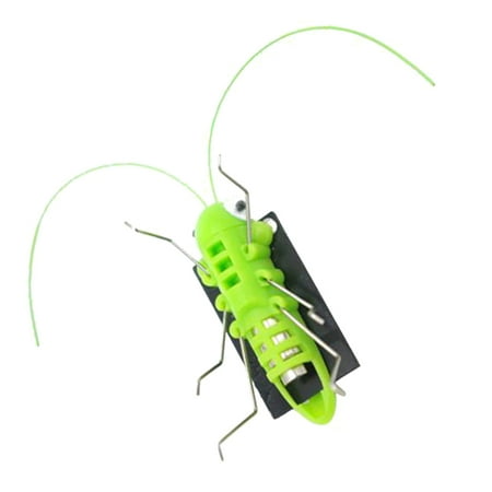 Creative and Interesting Solar Robots Insects waiwai Decompression Toys Grasshopper and Grasshopper Children’s Educational Toys Yellow Creative and Interesting Solar Robots Insects waiwai Decompression Toys Grasshopper and Grasshopper Children’s Educational Toys Yellow